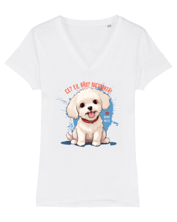 CE? EU, RAU? NICIODATA! - BICHON MALTEZ 2 White