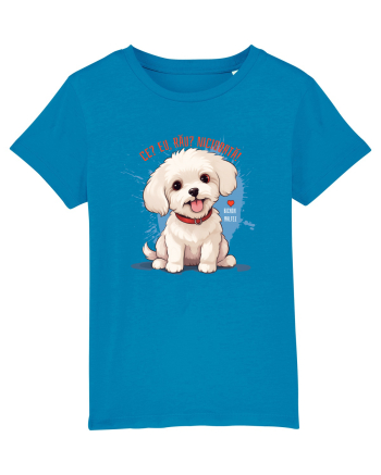 CE? EU, RAU? NICIODATA! - BICHON MALTEZ 2 Azur
