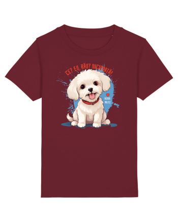 CE? EU, RAU? NICIODATA! - BICHON MALTEZ 2 Burgundy