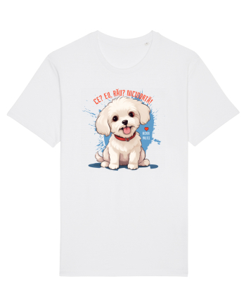 CE? EU, RAU? NICIODATA! - BICHON MALTEZ 2 White