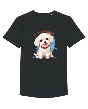 CE? EU, RAU? NICIODATA! - BICHON MALTEZ 2 Black