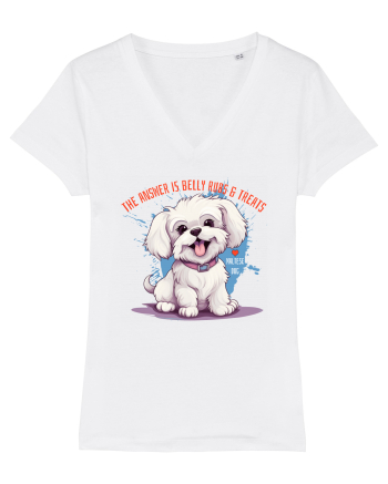 THE ANSWER IS BELLY RUBS & TREATS - Bichon White