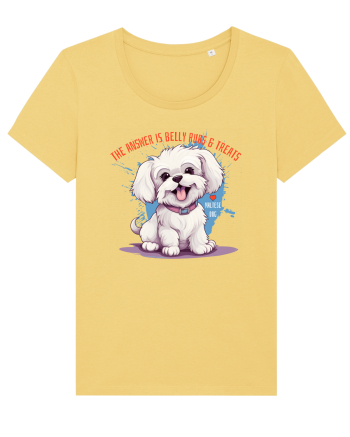 THE ANSWER IS BELLY RUBS & TREATS - Bichon Jojoba