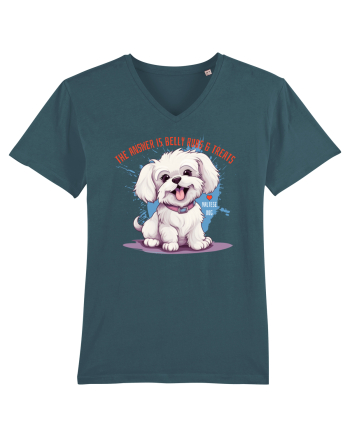 THE ANSWER IS BELLY RUBS & TREATS - Bichon Stargazer