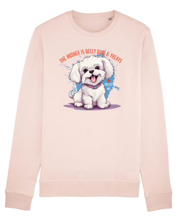 THE ANSWER IS BELLY RUBS & TREATS - Bichon Candy Pink