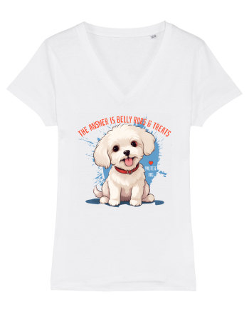THE ANSWER IS BELLY RUBS & TREATS 2 - Bichon White