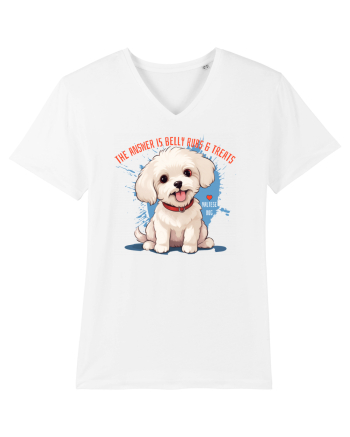 THE ANSWER IS BELLY RUBS & TREATS 2 - Bichon White