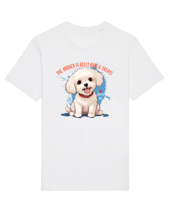 THE ANSWER IS BELLY RUBS & TREATS 2 - Bichon White