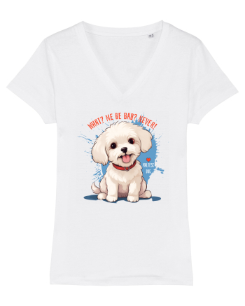 WHAT? ME BE BAD? NEVER! 2 - Bichon White