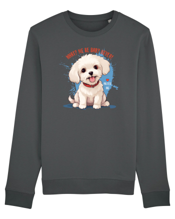 WHAT? ME BE BAD? NEVER! 2 - Bichon Anthracite