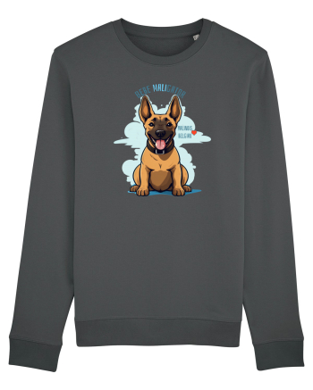 BEBE MALIgator - Malinois Belgian Anthracite