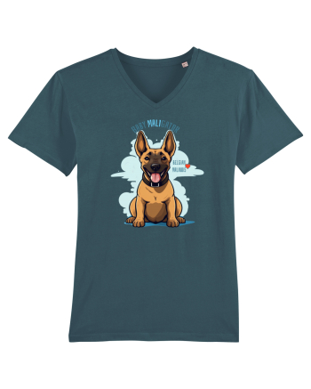 BABY MALIgator - Malinois Belgian Stargazer