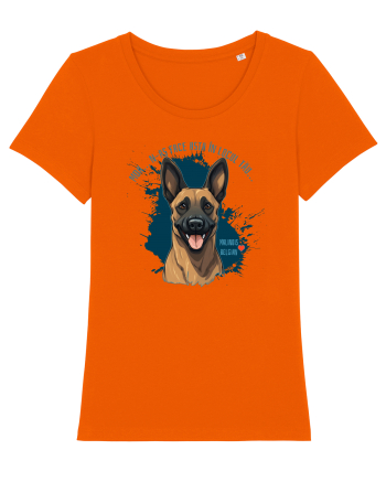 MDA, N-AS FACE ASTA - Malinois Belgian Bright Orange