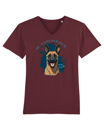 MDA, N-AS FACE ASTA - Malinois Belgian Burgundy
