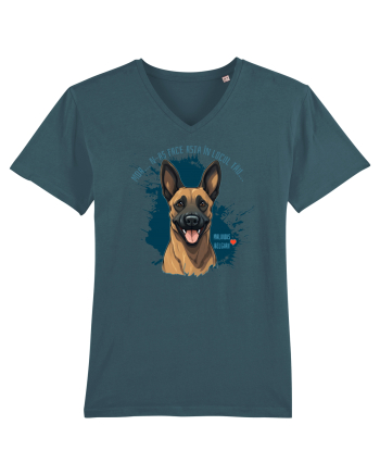 MDA, N-AS FACE ASTA - Malinois Belgian Stargazer