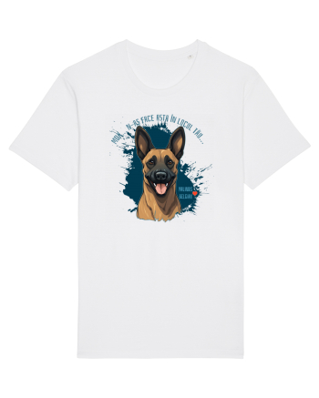 MDA, N-AS FACE ASTA - Malinois Belgian White