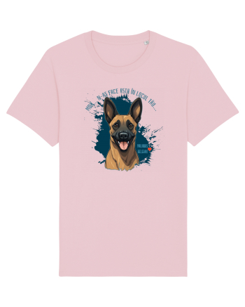 MDA, N-AS FACE ASTA - Malinois Belgian Cotton Pink