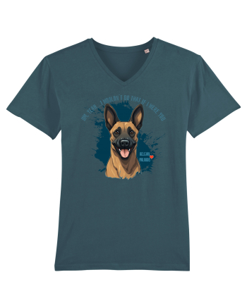 YEAH, I WOULDN`T  DO THAT - Malinois Belgian Stargazer