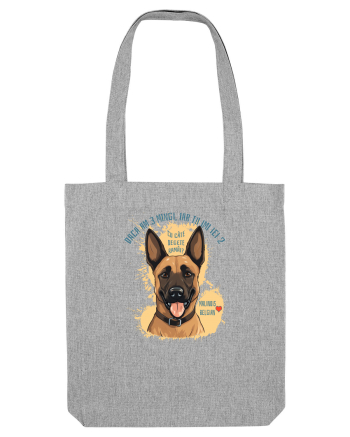 DACA AM 3 MINGI, IAR TU IEI 2 - Malinois Belgian Heather Grey