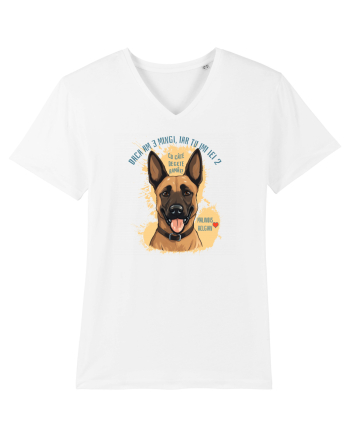 DACA AM 3 MINGI, IAR TU IEI 2 - Malinois Belgian White