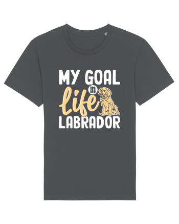 My Goal In Life Labrador Anthracite