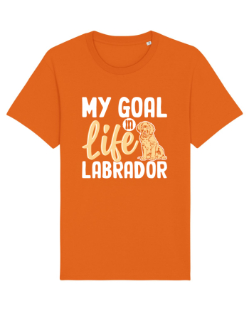 My Goal In Life Labrador Bright Orange