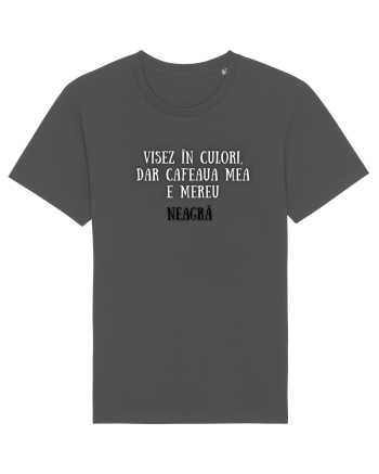 VISEZ ÎN CULORI Anthracite
