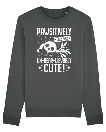Pawsitively wild and un-bear-lievably cute! Anthracite
