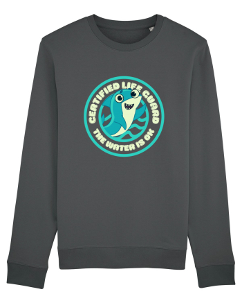 Funny Shark Joke Anthracite