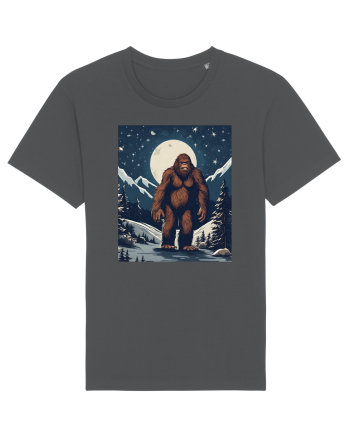Stary Night Bigfoot Anthracite