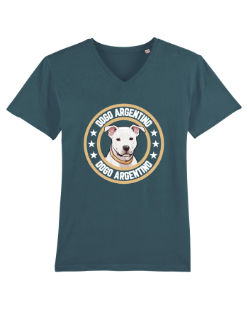 Dogo Argentino Stargazer
