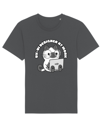 UX-UI Designer cat Anthracite