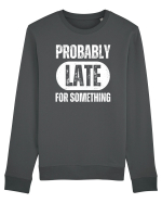Probably Late For Something Bluză mânecă lungă Unisex Rise