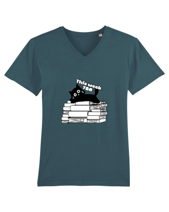 Bookish cat Stargazer