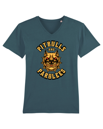 Pitbull And Parolees Stargazer