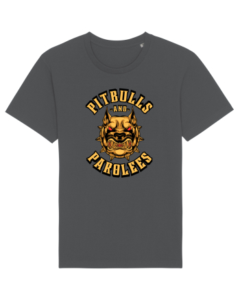 Pitbull And Parolees Anthracite