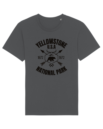Yellowstone National Park Anthracite