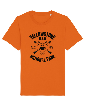 Yellowstone National Park Bright Orange