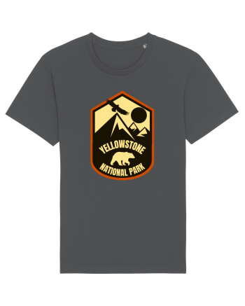 Yellowstone National Park Anthracite