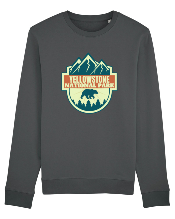 Yellowstone National Park Anthracite
