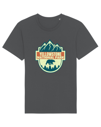 Yellowstone National Park Anthracite