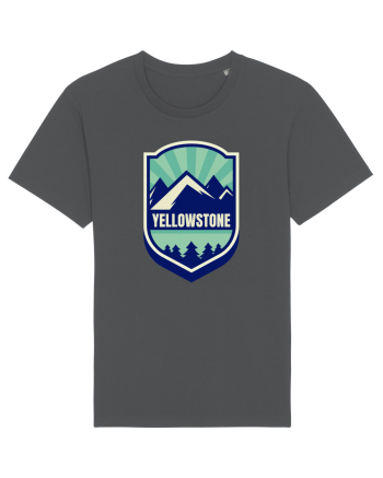 Yellowstone National Park Anthracite
