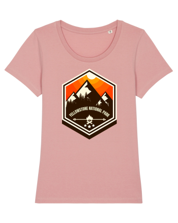 Yellowstone National Park Canyon Pink
