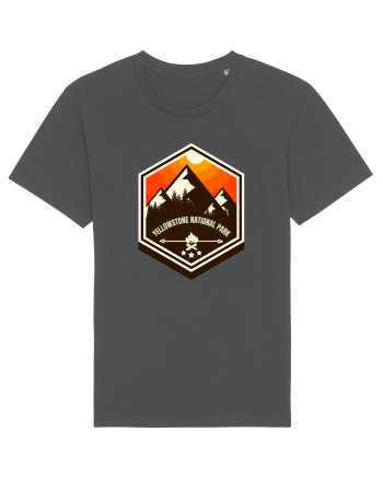 Yellowstone National Park Anthracite