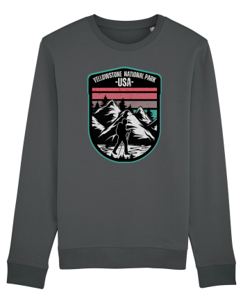 Yellowstone National Park Anthracite