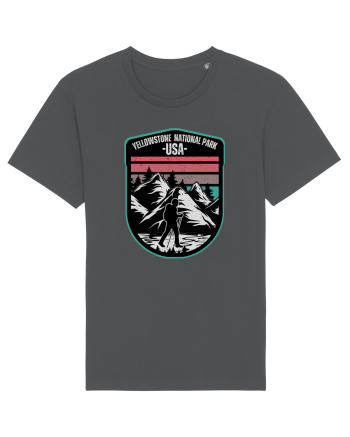 Yellowstone National Park Anthracite