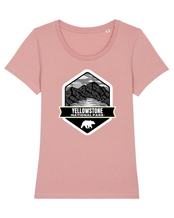 Yellowstone National Park Canyon Pink