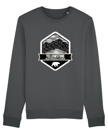 Yellowstone National Park Anthracite