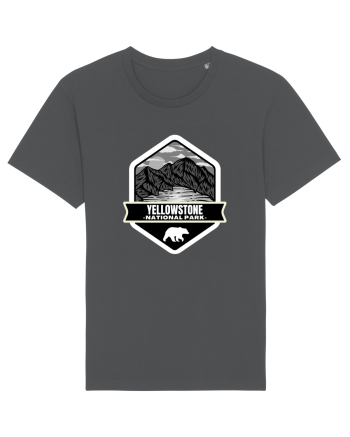 Yellowstone National Park Anthracite