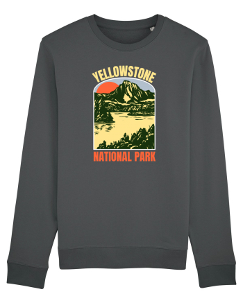 Yellowstone National Park Anthracite